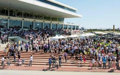 Cheap Express To Compete At Belmont On Saturday