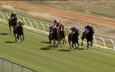 Demi Go Round Runs A Solid 2nd At York
