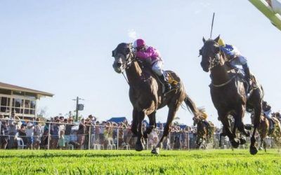Demi Go Round Will Compete At York On Wednesday