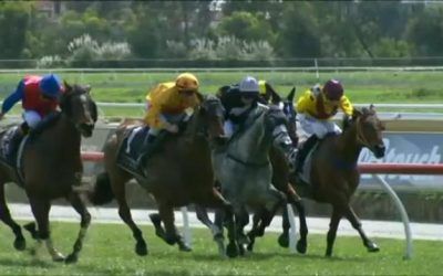 Raising Dubai Runs A Solid 2nd At Belmont