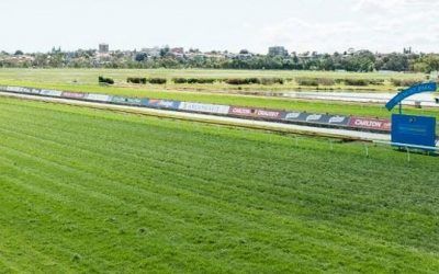 Two Stable Runners To Compete At Belmont On Saturday