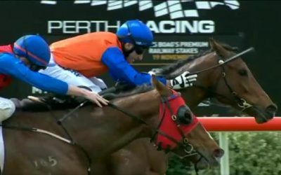 Bomber Bay Returns In Fine Style To Finish 2nd Narrowly At Belmont