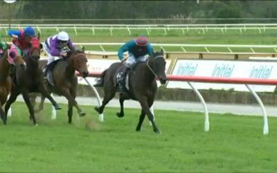 Cheap Express Runs A Solid 3rd At Belmont