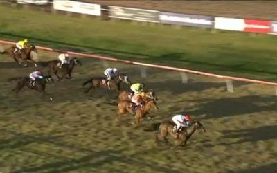 Le Patron Arrives For A 2nd Placing At Northam