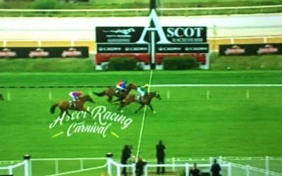 Bomber Bay Arrives In 2nd At Ascot