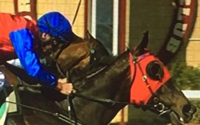 Cheap Express Cracks The Maiden Status At Northam