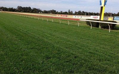Two Stable Runners To Compete At Bunbury