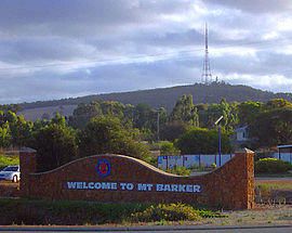 Mount Barker Stable Runners For Thursday