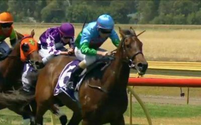 Thunder Boom & Rising Sea Run Into Placing’s At Bunbury