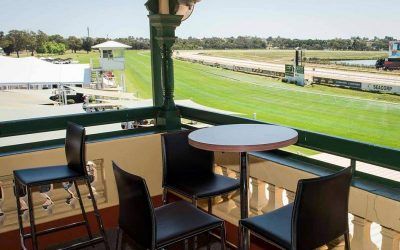 Gigidy Gigidy Goo To Run At Ascot On Wednesday