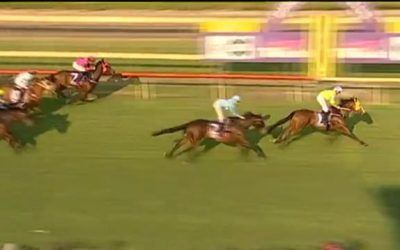 Gigidy Gigidy Goo Runs On Nicely To Finish 3rd At Bunbury