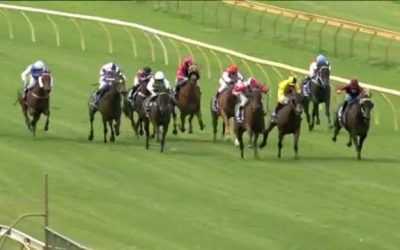 Lizzie Runs Third In Race 3 At Bunbury