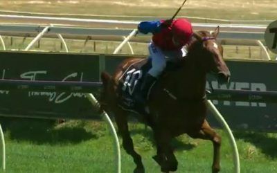 Street Fury Runs A Nice Race On Debut