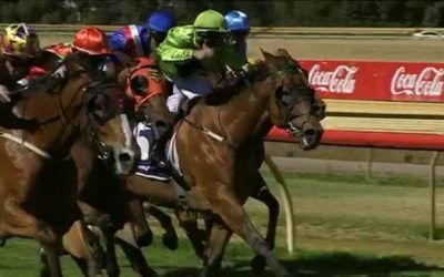 Stormy Grace Runs A Strong 2nd At Bunbury