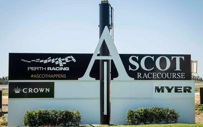 Travinator To Compete At Ascot On Saturday