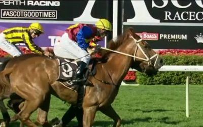 Let’s Twist Runs A Gallant Second At Ascot