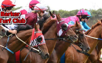 Pearce Stable Runners For Mt Barker On Thursday