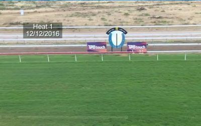 Ben Pearce Racing Takes Out 3 Of The 4, Two-Year-Old Trials At Lark Hill Today