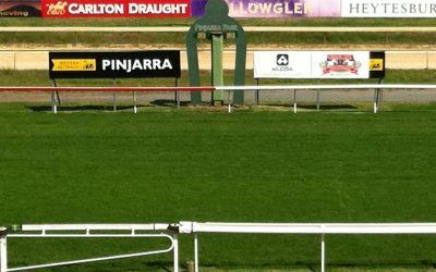 The Pearce Racing Yard Will Send Two Runners To Pinjarra On Sunday