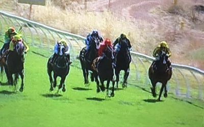 Silver Knows Finishes 2nd In Race 2 On The York Card