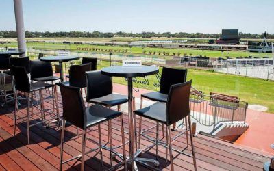 Travinator To Compete At Ascot On Saturday