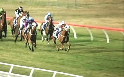 Rhino’s Lad Finishes 3rd At Mount Barker