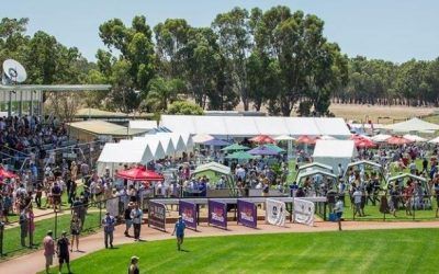 Stable Runners For Pinjarra On Sunday