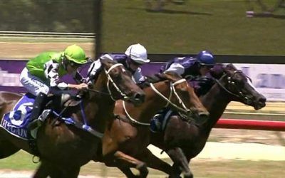 Paradise Square Arrives In Third, First Time Out