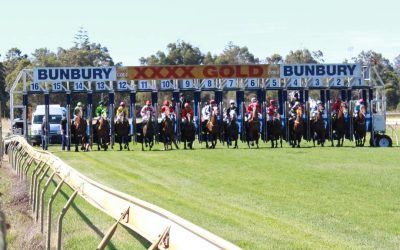 Runners For The Pearce Yard At Bunbury On Wednesday