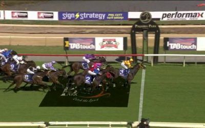 Suntrapper Resumes With A Solid Third At Pinjarra