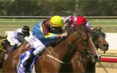 Fraternize Displays A Strong Finish To Score At Pinjarra