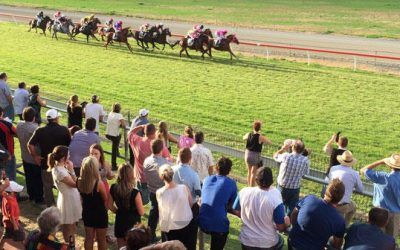 Ben Pearce Stable Runners For Narrogin On Friday