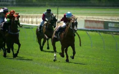 Stormy Grace Finishes A Strong 2nd At Ascot