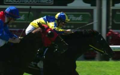 The Pearce Yard Fills The Minor Placings In Race 1, At Ascot