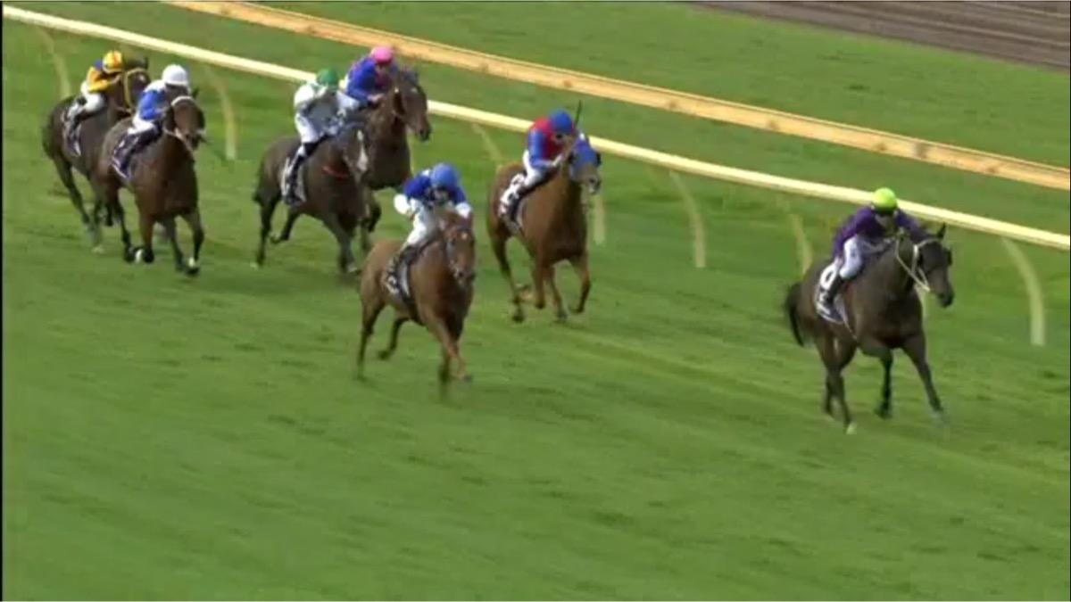 Hashtag Arrives Late On The Scene To Finish 3rd At Bunbury Pearce Racing