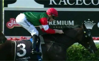 Money Maher Just Misses In The 2nd At Ascot