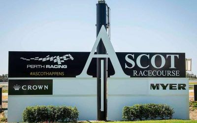 Ben Pearce Stable Runners For Ascot On Friday