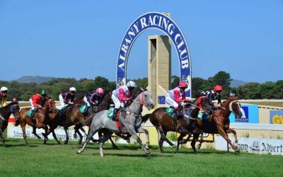 The Pearce Yard To Compete With 4 Runners At Albany On Thursday