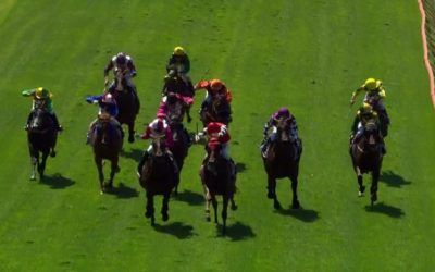 Amongstgoodcompany Arrives In Third Under Peter Hall At Bunbury