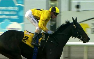 The In-Form Pushin’ Shapes Wins The XXXX Gold Narrogin Cup