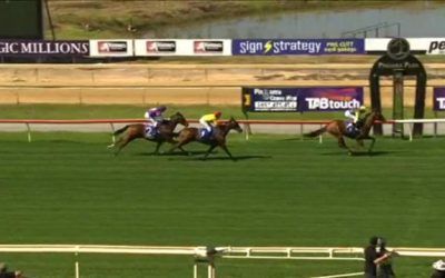 Father Knick Finishes 3rd On Debut At Pinjarra.