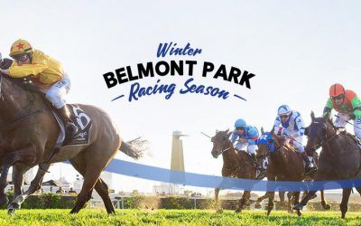 Pearce Stable Runners For Saturday At Belmont And Carnarvon