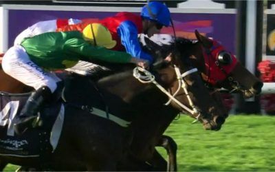 Rosewood Hill Shows Plenty Of Ticker To Win Race 7 At Ascot