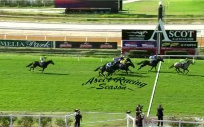 Pushin’ Shapes Arrives In Third At Ascot Over 2200m