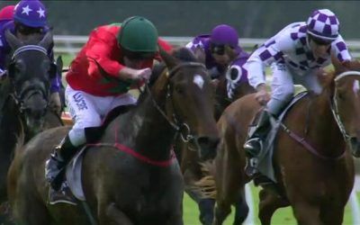 Thunder Boom Arrives In Third At Belmont