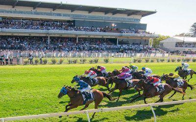 Stable Runners To Compete At Belmont On Wednesday