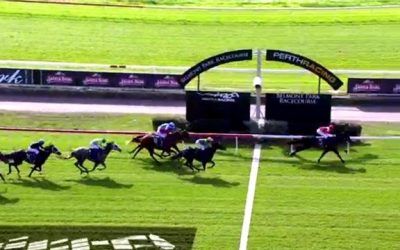 Street Fury Holds Onto Third At Belmont Over A 1000m