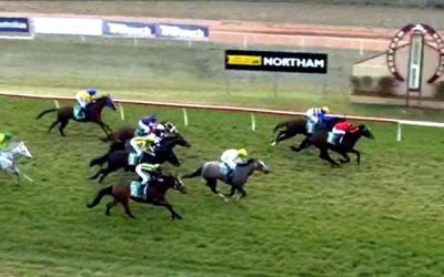 Sliver Knows Runs Third At Northam