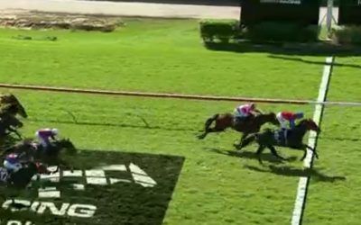 Watto’s Fury scores first-up at Belmont