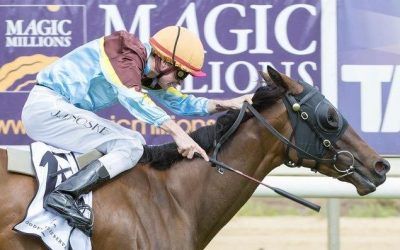 Pearce stable to saddle-up six across the state